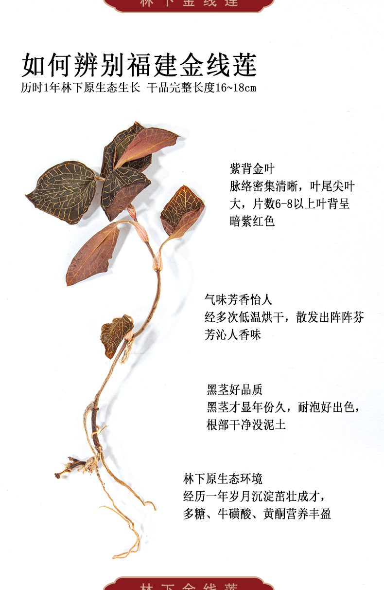 福建南靖金線(xiàn)蓮干品