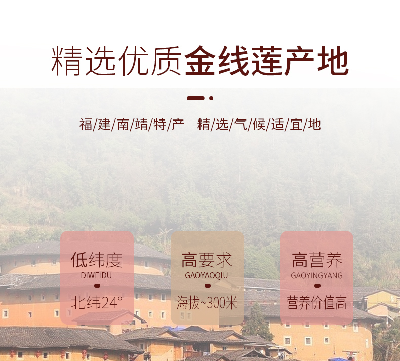 開花<a href=http://m.yuan-jian.com.cn/ target='_blank'>金線蓮</a>干品