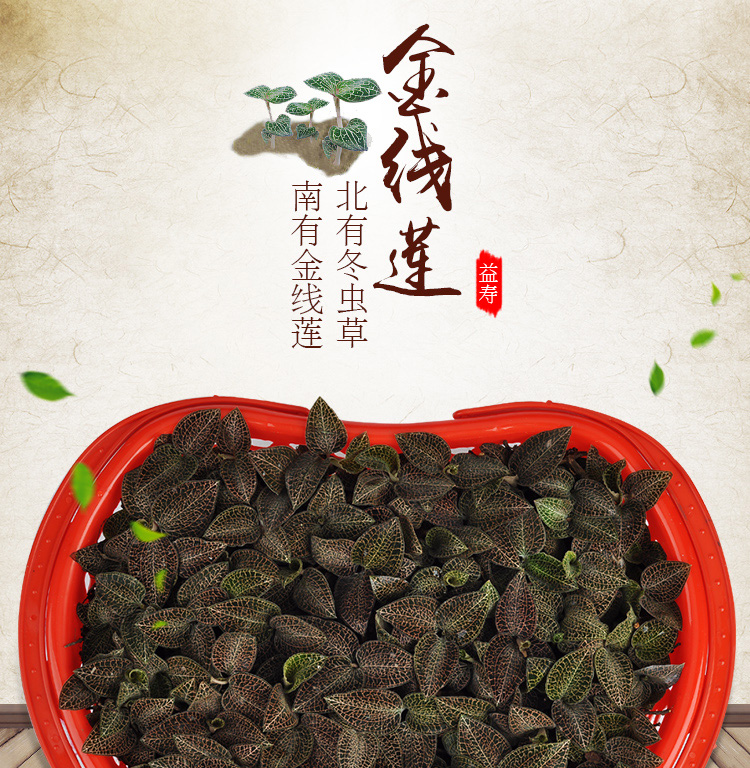 <a href=http://m.yuan-jian.com.cn/ target='_blank'>金線蓮</a>鮮品 籃裝